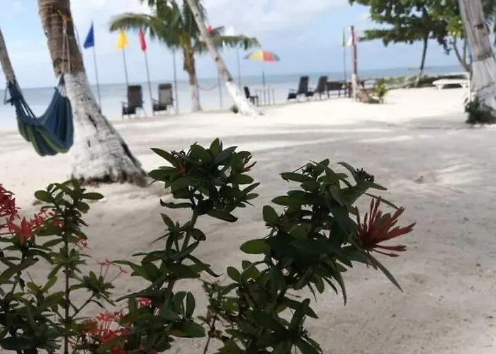 Rick's Paradise Reef * Santa Fe (Cebu)